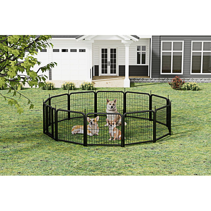 Parc pour chien extérieur