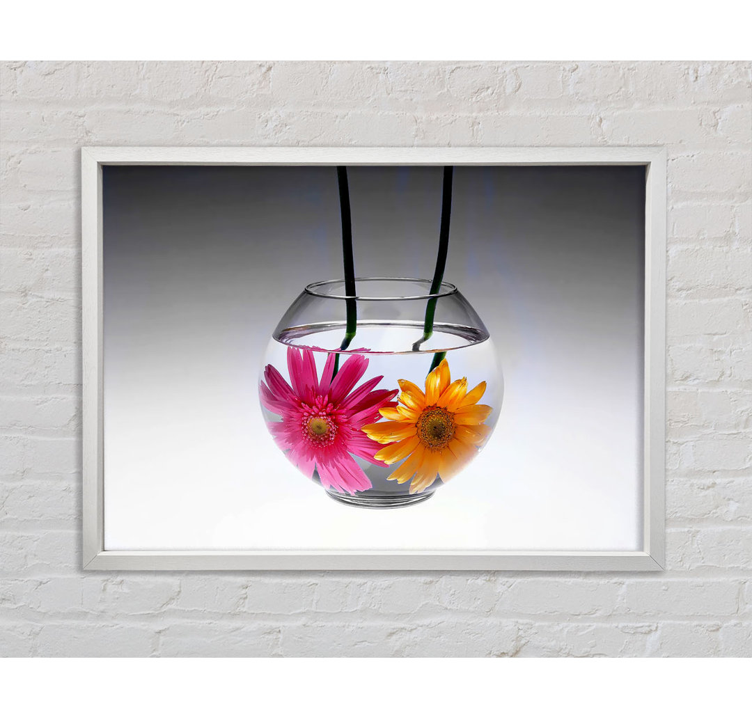 Gerbera Fishbowl B N W - Einzelner Bilderrahmen Kunstdrucke auf Leinwand