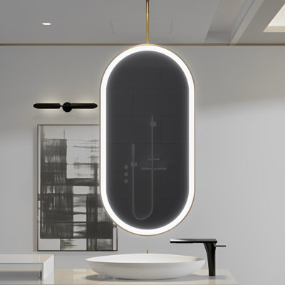 Miroir ovale brossé 24 po x 48 po