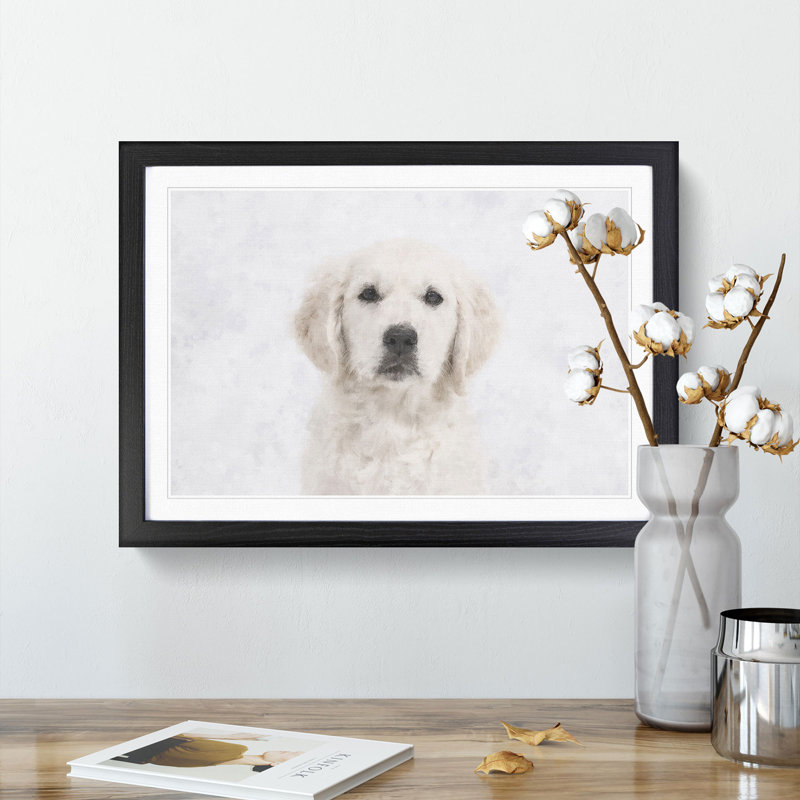 Golden Retriever Puppy - Picture Frame Graphic Art Print, 24cm H x 33cm W x 2cm D, Black Framed