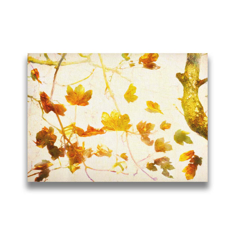 Automne doré par Hal Halli. Estampe numérique, H 30,5 po x l 40,5 po, Brun, Reproduction encadrée sans passe-partout