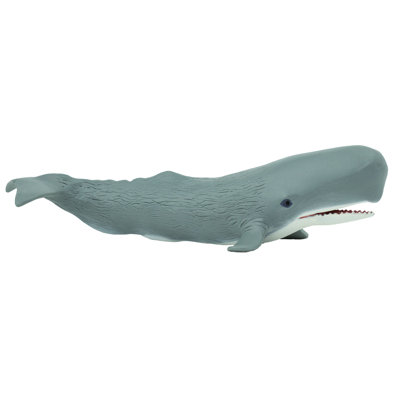 Cachalot
