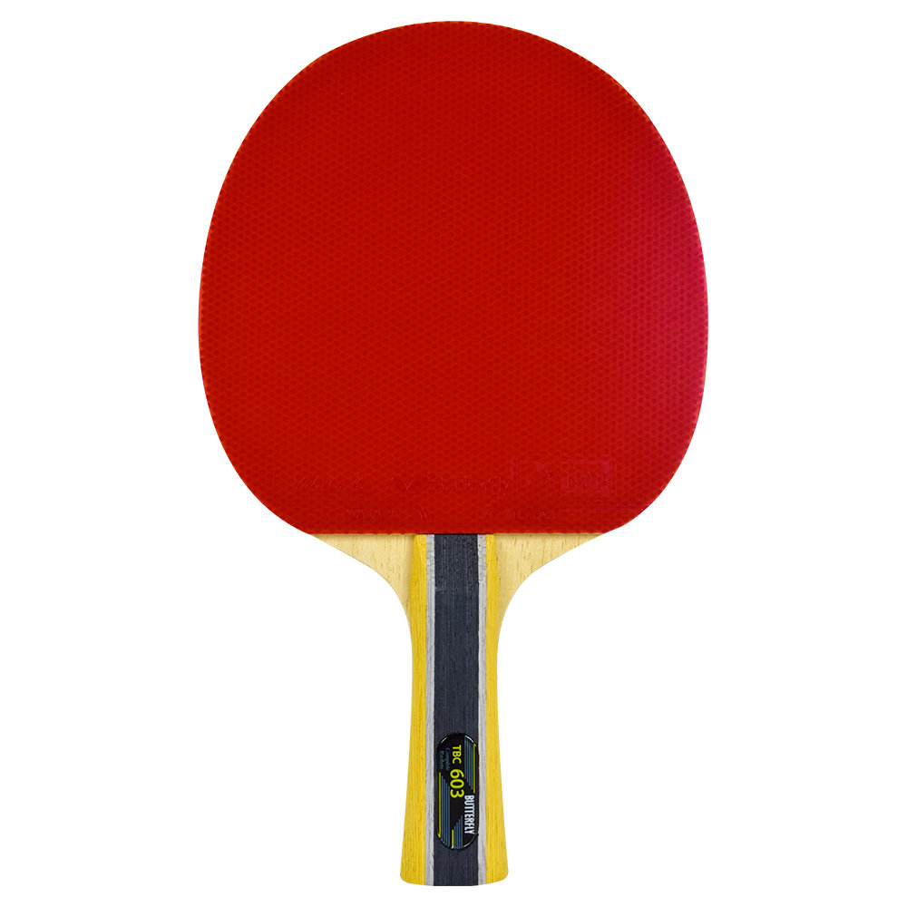 Butterfly Bty 603 FL Racket & Reviews | Wayfair