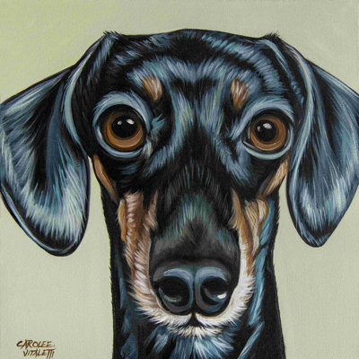 " Traditional Dachshund "