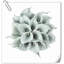 Arrangement Lillies-623490076-623490070