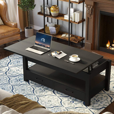 Eoghan Lift Top Coffee Table with 2 Drawers