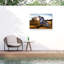 «Desert King» sur toile par Attila Szabo-1492339559