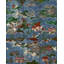 The Curators Cabinet Wallpaper Roll
