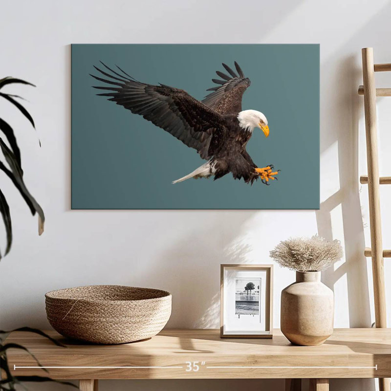 Brampt Predator Bald Eagle, 16" H x 24" W