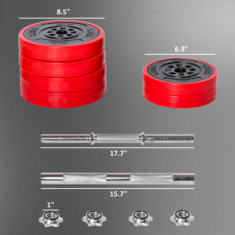 Ensemble de poids ajustable 2 en 1 avec haltères et haltères de 66 lb Soozier pour les bras, les épaules et le dos
