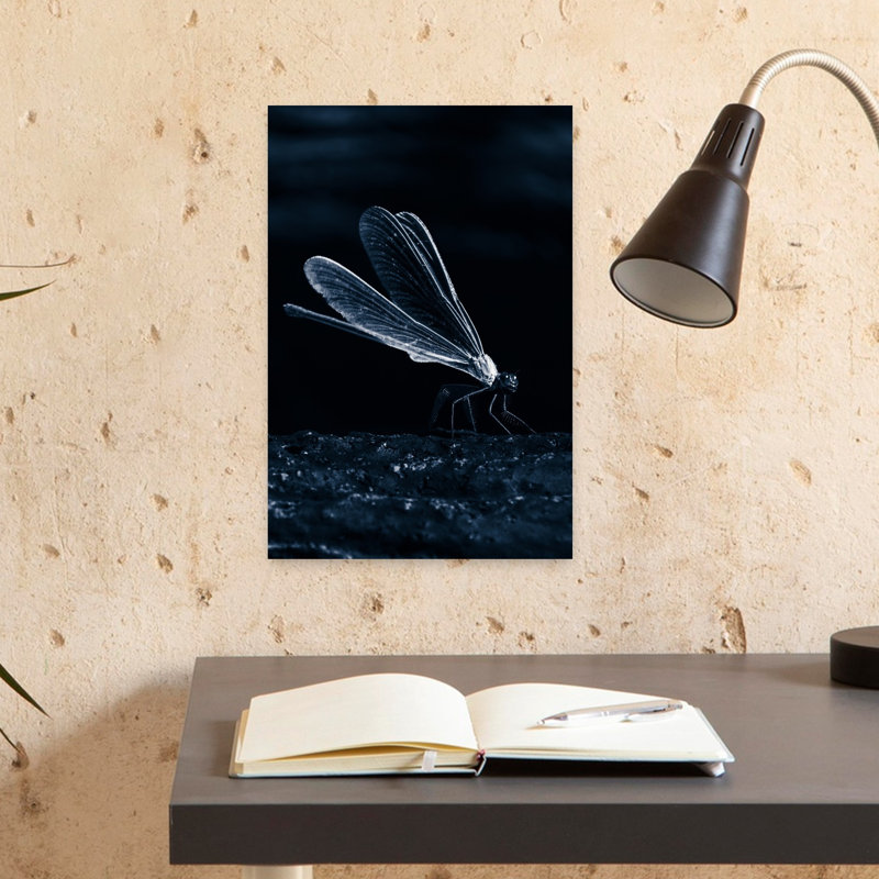 Dark Dragonfly Wings Dramatic Elegant Ethereal Dragonfly Nature Wildlife Wall Art Print 1 Piece Wrapped Canvas Wall Art