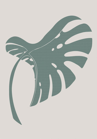 Monstera Bent, 76.2 cm H x 50.8 cm W