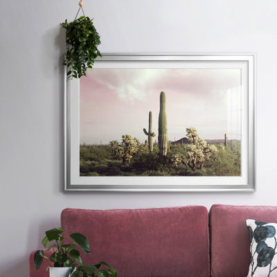 " Organ Pipe Cactus National Monument "