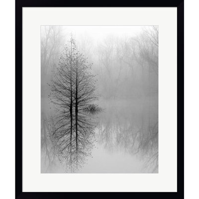 " Lake Trees In Winter Fog " by Nicholas Bell