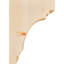 Corbeau Pescadero-1571285295-1571285247-1571285244