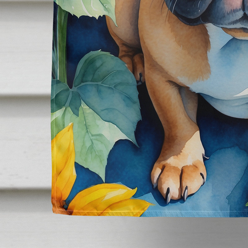 Drapeau de la maison du tournesol Malamute d'Alaska, Bouledogue français brun