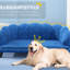 Dark Blue Velvet Dog Bed, Foam Cushioned For Medium And Large Canines, Elegant Cozy , Bed Breeds, Comfortable Stylish
