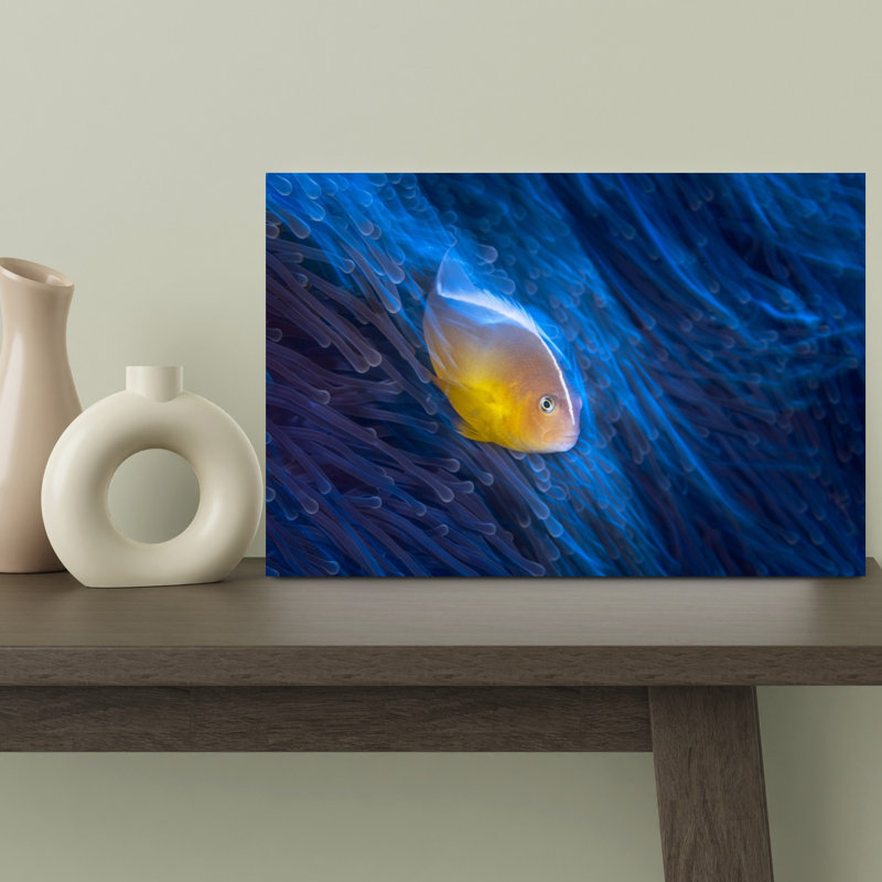 Vibrant Anemone Fish Peaceful Serene Tranquil Fish Nature Ocean Wall Art Print 1 Piece Wrapped Canvas Wall Art