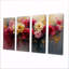 Blomberg - art mural - ensemble de décoration W-557909521-557909532