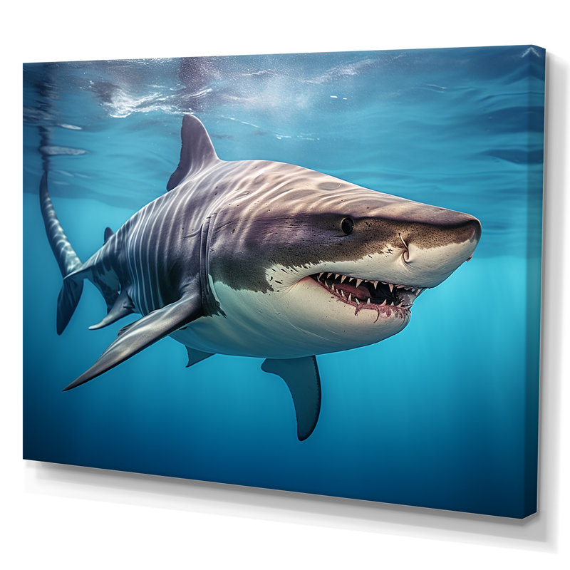 «Tiger Shark Territory III - Shark», art mural encadré, H 12 po x l 20 po x P 1 po, Toile tendue
