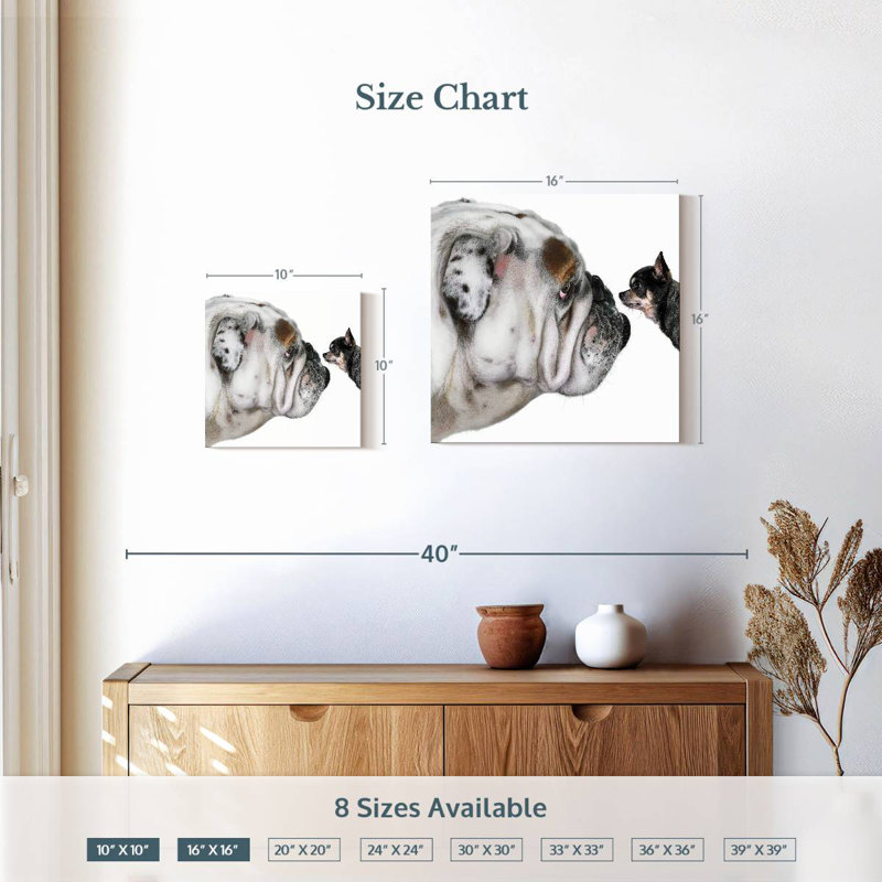 Crowle Bulldog And Chihuahua