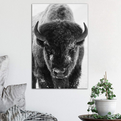 Bison Bull Frosty Morning by Ken Archer - Wrapped Canvas Print