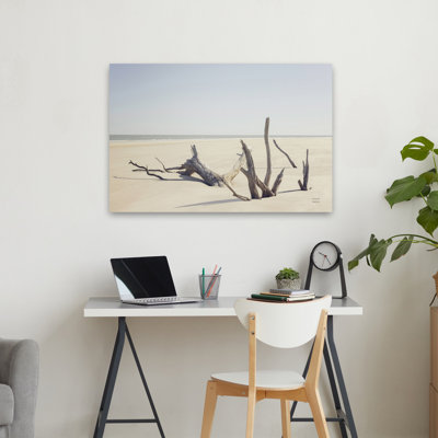 Georgia Driftwood I Coastal Blue Grey White Beach Brown