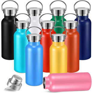 10 Pcs 17 Oz Stainless Steel Sports Water Bottle Insulated Reusable Water Bottles With Handle Metal Bottle For Hikers Gift, 10 Colors