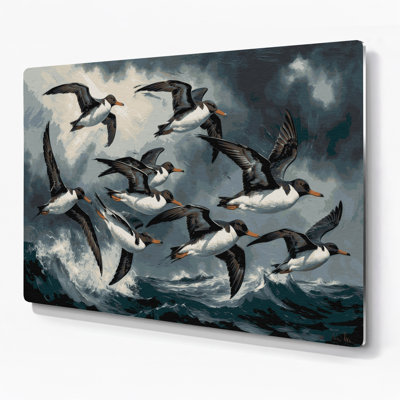 Birds Common Murre Black Metal Wall Art