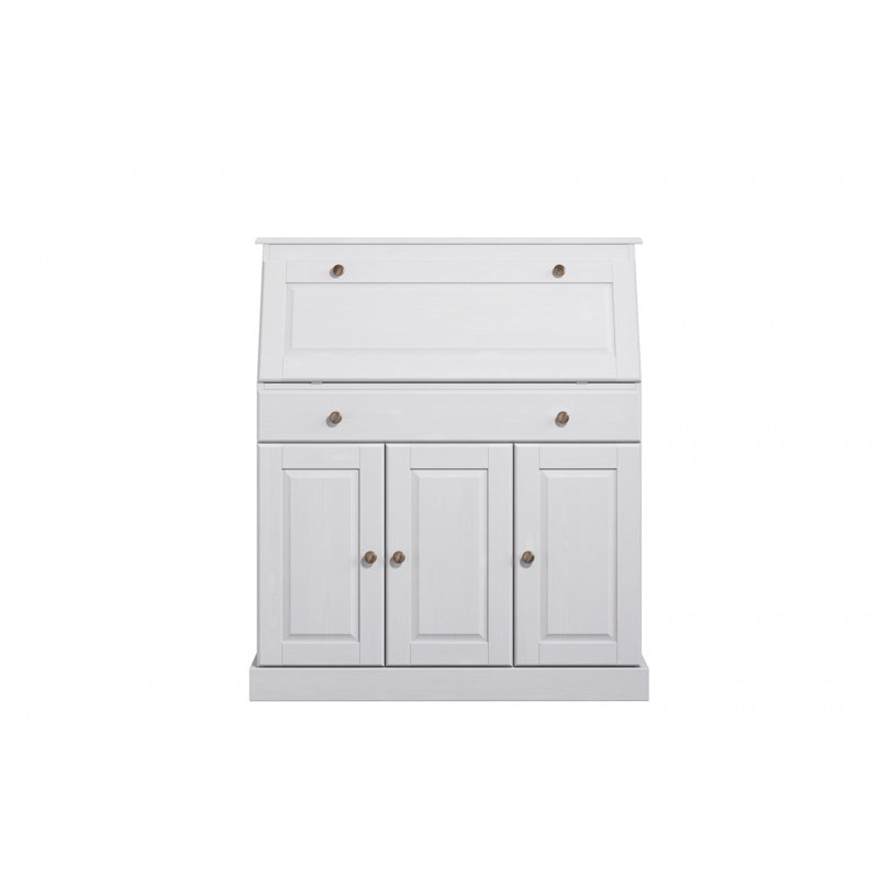 Dinardo Solid Wood 3 - Door Rectangle Accent Cabinet, White