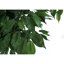 Mccullough 58 " H Faux Ficus Tree