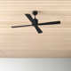 Harford 4 - Blade Standard Ceiling Fan with Remote Control