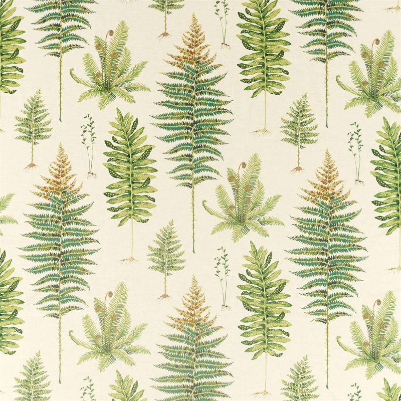 Fernery Fabric, Olive
