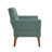 Newtin Mid-Century Modern Accent Chair-126140645
