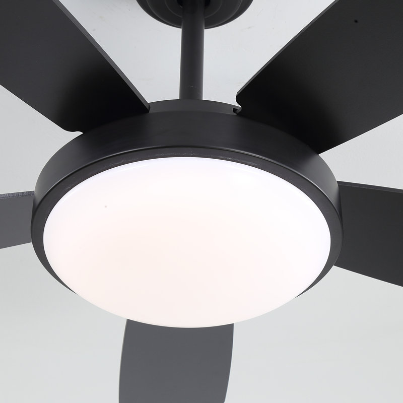 Ventilateur de plafond moderne à 5 pales de 42 po avec lumière et télécommande Damecia, Noir, noir, noir, noir