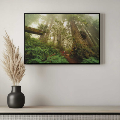 «Redwood Forest of Giants» par Martin Podt, reproduction d'art