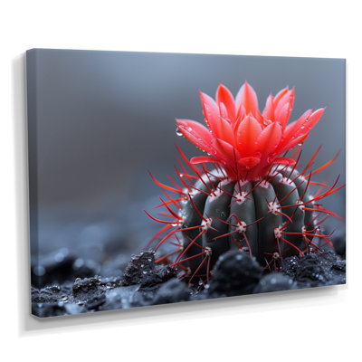 Cactus rouge et vert, gouttes de pluie, art mural cactus floral