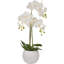 80cm Faux Plant in Cement Pot