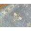 Tapis gris unique de 8 pi 10 po x 12 pi 3 po