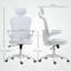 Foam Padding Office Chair-310168545