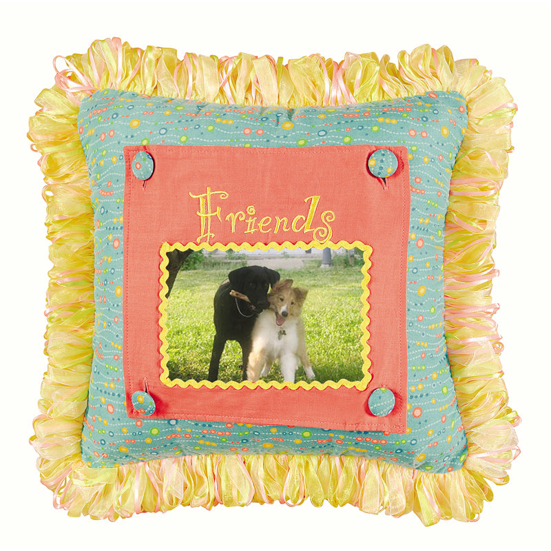 Friends Picture Pillow