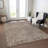  Machine Washable Indoor/Outdoor Chayden ACN1030 Rug-2023841002