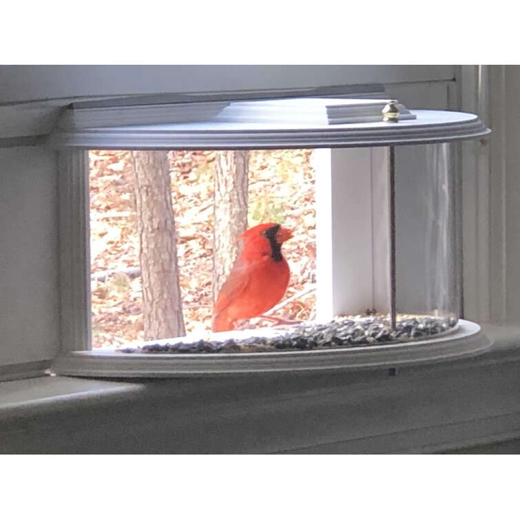 Indoor Window Bird Feeder 180° Panoramic View Of The Bird Feeder