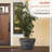 Ramsell Barrel Planter-1467883322
