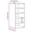 Belmeda 5 Pair Shoe Storage Cabinet-2083311116