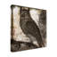 Art sur toile «Bachelor Sasha Owl» 2-104137955