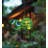 Mini Bug Solar Lantern - Frog