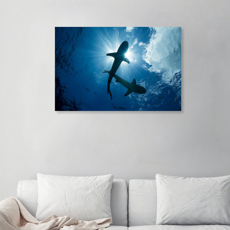 " Blacktip Reef Sharks Pair " by David Fleetham, 36" H x 54" W x 1.5" D