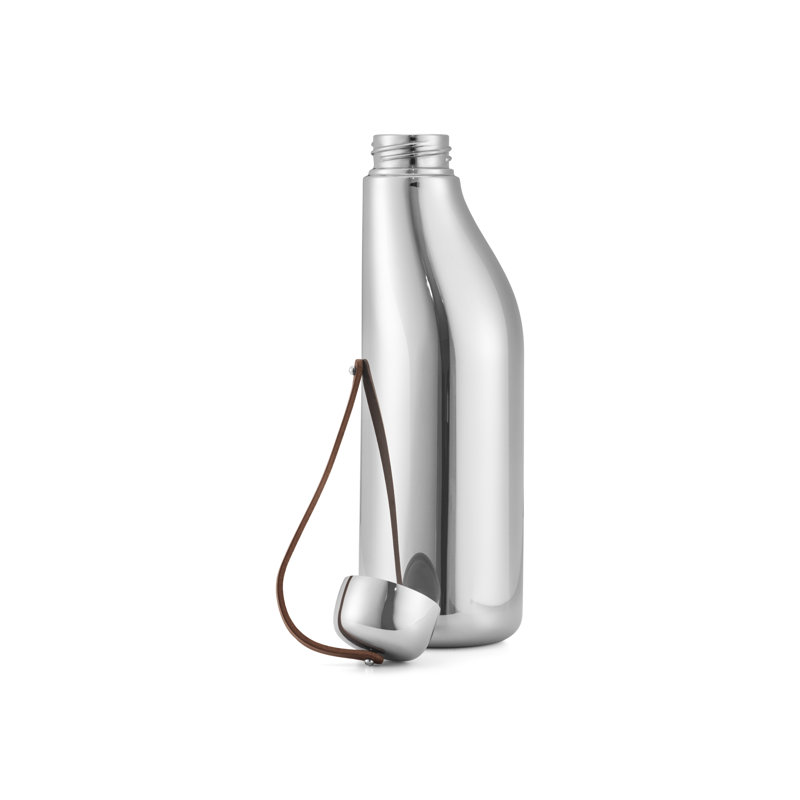 Sky 16.91 Oz Stainless Steel Water Bottle, Stainless Steel