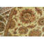 Wool Oriental Area Rug in Brown